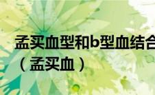 孟买血型和b型血结合会生出哪种血型的孩子（孟买血）