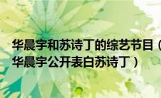 华晨宇和苏诗丁的综艺节目（苏诗丁结婚了吗个人资料曝光华晨宇公开表白苏诗丁）