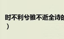 时不利兮骓不逝全诗的意思（时不利兮骓不逝）