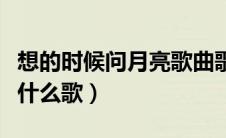 想的时候问月亮歌曲歌词（月亮月亮你别睡是什么歌）