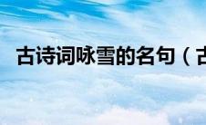 古诗词咏雪的名句（古诗词中的咏雪佳句）