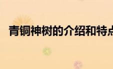 青铜神树的介绍和特点（青铜神树的介绍）