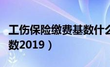 工伤保险缴费基数什么意思（工伤保险缴费基数2019）