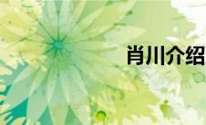 肖川介绍（肖川）