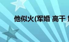 他似火(军婚 高干 婚恋)（高干虐文）