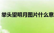 举头望明月图片什么意思（举头望明月图片）