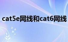 cat5e网线和cat6网线（什么是CAT5e网线）