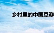 乡村里的中国豆瓣（乡村里的中国）