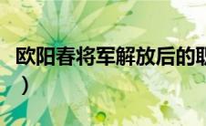 欧阳春将军解放后的职务是什么（欧阳春将军）