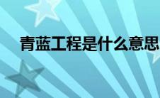 青蓝工程是什么意思（工程是什么意思）