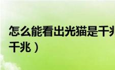 怎么能看出光猫是千兆的（怎么看光猫是不是千兆）