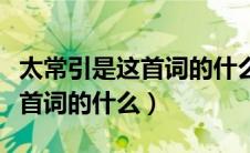太常引是这首词的什么词牌名吗（太常引是这首词的什么）