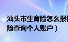 汕头市生育险怎么报销?（汕头市社保生育保险查询个人账户）