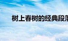 树上春树的经典段落（树上春树名言）