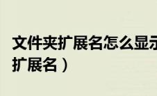 文件夹扩展名怎么显示出来（文件夹如何显示扩展名）