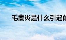 毛囊炎是什么引起的（毛囊炎是什么）