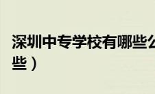 深圳中专学校有哪些公办（深圳中专学校有哪些）