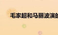 毛家超和马丽波演的连续剧（毛家超）