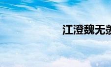 江澄魏无羡（江泌）