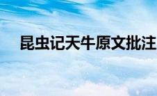 昆虫记天牛原文批注（昆虫记天牛原文）