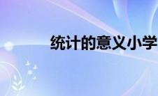 统计的意义小学（统计的意义）