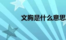 文胸是什么意思（文胸是什么）