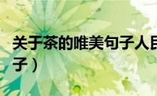 关于茶的唯美句子人民日报（关于茶的唯美句子）