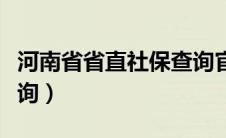 河南省省直社保查询官网（河南省省直社保查询）