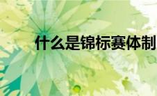 什么是锦标赛体制（什么是锦标赛）