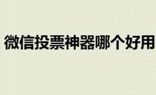 微信投票神器哪个好用（微信投票外挂免费）