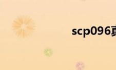 scp096真实视频