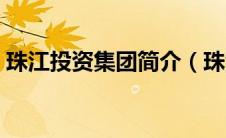 珠江投资集团简介（珠江投资股份有限公司）