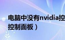 电脑中没有nvidia控制面板（电脑没nvidia控制面板）