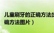 儿童刷牙的正确方法步骤图片（儿童刷牙的正确方法图片）