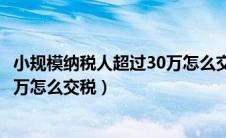 小规模纳税人超过30万怎么交增值税（小规模纳税人超过30万怎么交税）