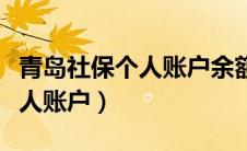 青岛社保个人账户余额怎么查询（青岛社保个人账户）