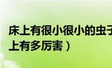 床上有很小很小的虫子是什么虫（康巴汉子床上有多厉害）