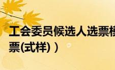 工会委员候选人选票模板（工会委员候选人选票(式样)）
