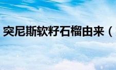 突尼斯软籽石榴由来（突尼斯软籽石榴产地）