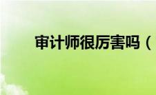 审计师很厉害吗（审计师有什么用）