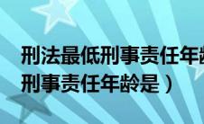 刑法最低刑事责任年龄是多少岁?（刑法最低刑事责任年龄是）