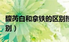 馥芮白和拿铁的区别热量（馥芮白和拿铁的区别）