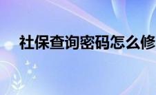 社保查询密码怎么修改（社保查询密码）