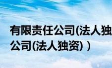 有限责任公司(法人独资)经济类型（有限责任公司(法人独资)）