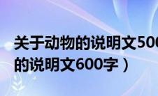 关于动物的说明文500字优秀作文（有关动物的说明文600字）