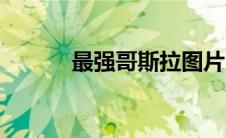 最强哥斯拉图片（最强哥斯拉）