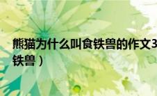 熊猫为什么叫食铁兽的作文300字怎么写（熊猫为什么叫食铁兽）