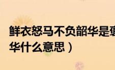 鲜衣怒马不负韶华是褒义吗（鲜衣怒马不负韶华什么意思）