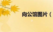 向公馆图片（向公馆原型）