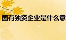 国有独资企业是什么意思（企业是什么意思）